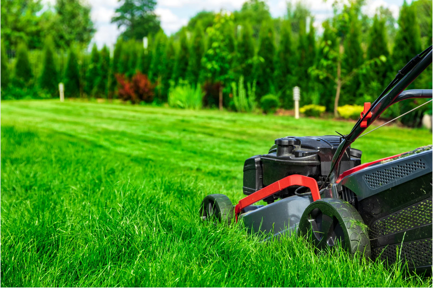 A lawnmower cuts through tall grass in a well-maintained, green backyard with trees and shrubs in the background.